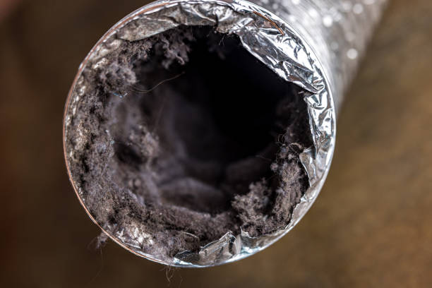Best Air Duct Cleaning Near Me  in Cheltenham Village, PA